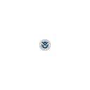CISA